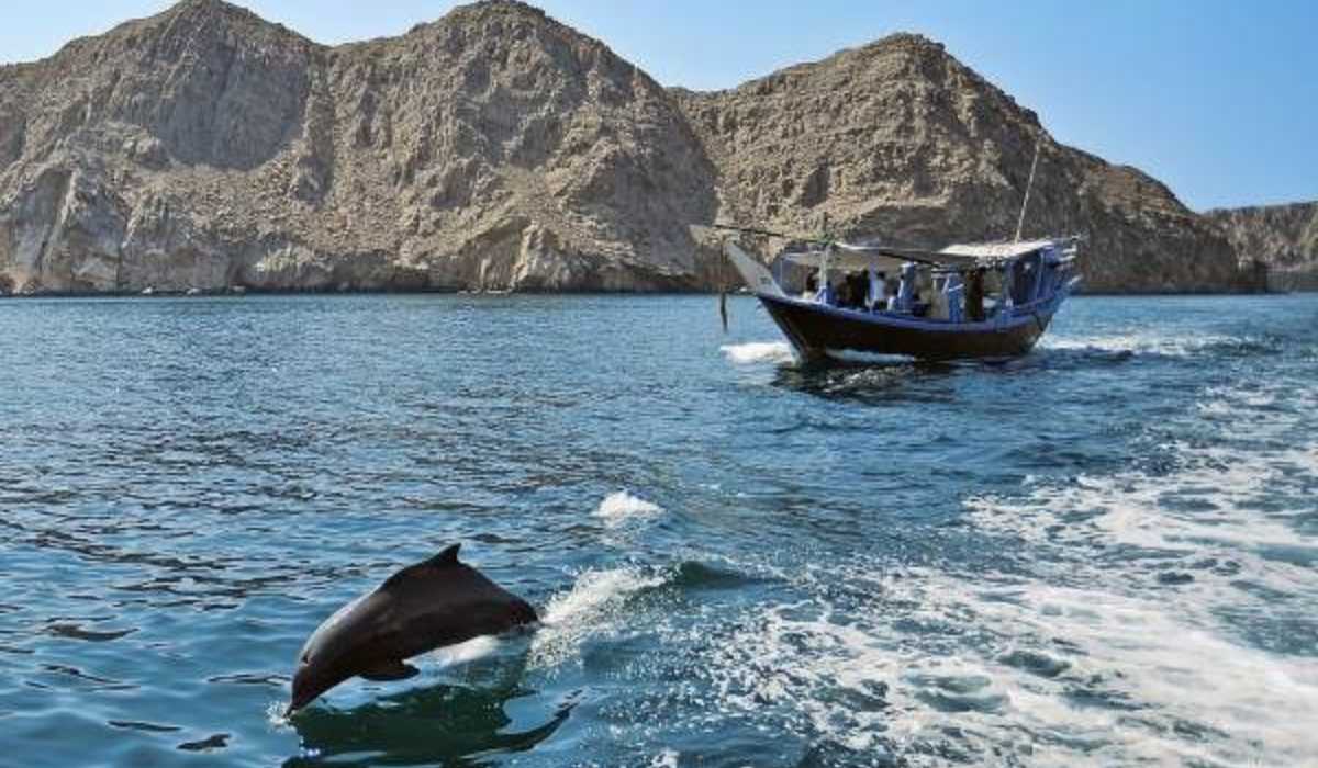 Enjoy your Musandam tours with dolphin watching