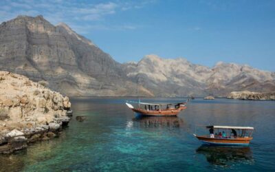 Enjoy your Musandam tours with dolphin watching