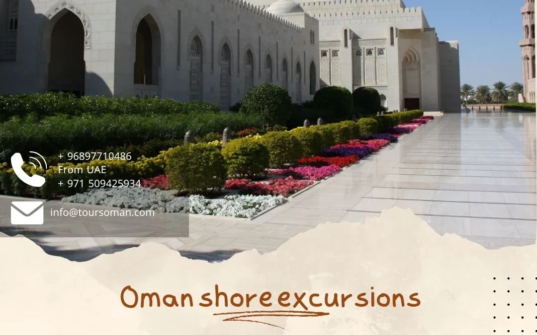 Oman Shore Excursions: Creating Lasting Memories